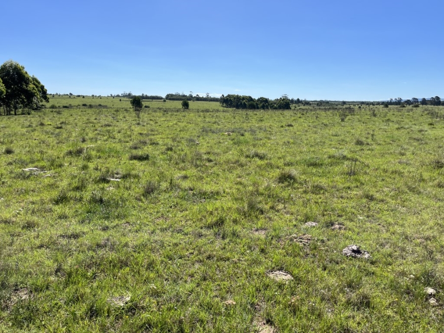 Commercial Property for Sale in Bathurst Rural Eastern Cape